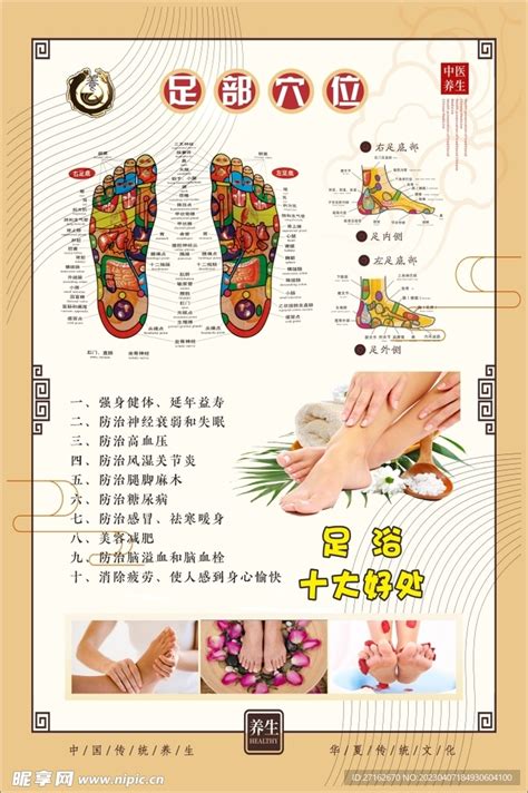 足部穴位图图片