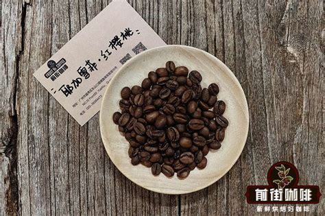 SOE咖啡豆是什么意思 巴西浓缩咖啡soe咖啡豆和单品豆区别 中国咖啡网 11月04日更新