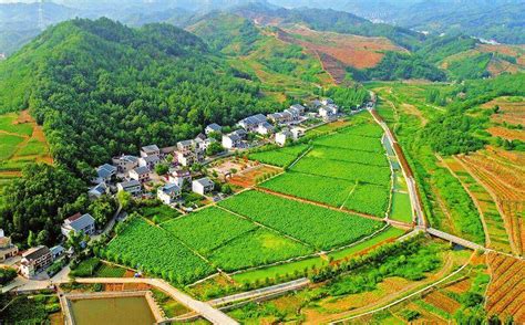 打造产业扶贫的绿色名片——商南县茶产业助推脱贫攻坚调查|商洛日报