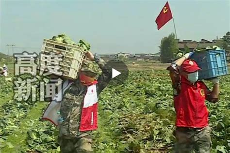 江西抢收14吨蔬菜驰援上海_凤凰网视频_凤凰网
