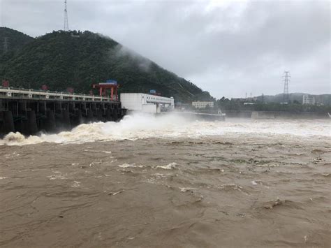 大坝泄洪 村民捡到50余斤重大鱼_新浪图片