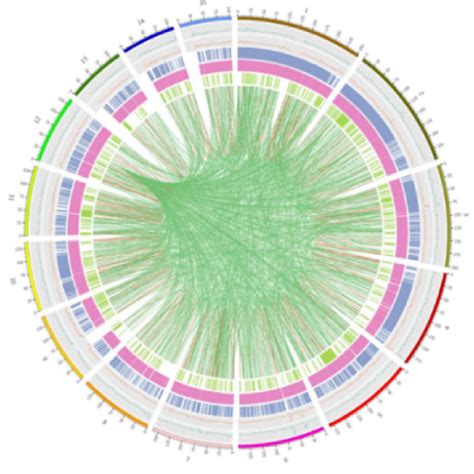 首个东亚人群炎症性肠病基因图谱绘制完成—论文—科学网