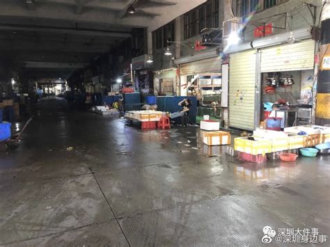 海鲜生意惨淡！现场走访深圳农贸市场：有店铺停售三文鱼