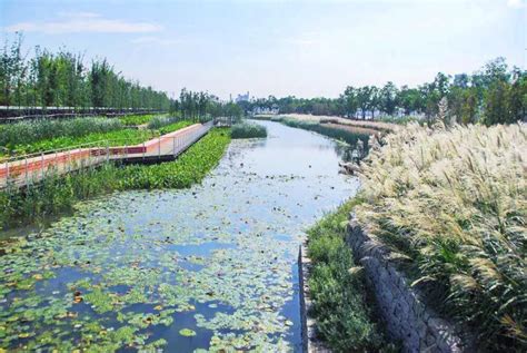 四川省大邑县斜江河王滩湿地公园规划设计 - 南京嘉顿水木生态景观设计有限公司