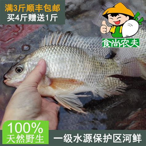 纯天然罗非鱼福寿鱼500克绿色有机鲜鱼配送广东买满3斤顺丰包邮_虎窝淘