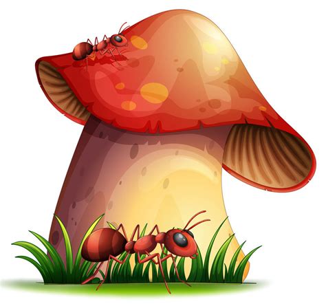 矢量的卡通蘑菇图片-卡通蘑菇丛矢量插图素材-高清图片-摄影照片-寻图免费打包下载