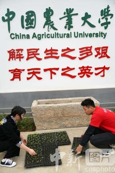 中国农业大学新农村发展研究院 农产品专区
