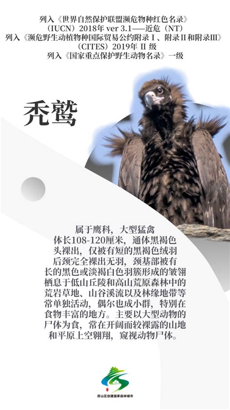 [图文] *** 从“地狱边缘”成功挽救回来的八种生物 *** [推荐] - 科学探索 - 华声论坛