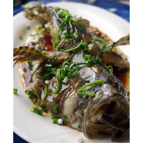 老鼠斑-深圳市彭成海产有限公司-让中国人吃上放心海鲜