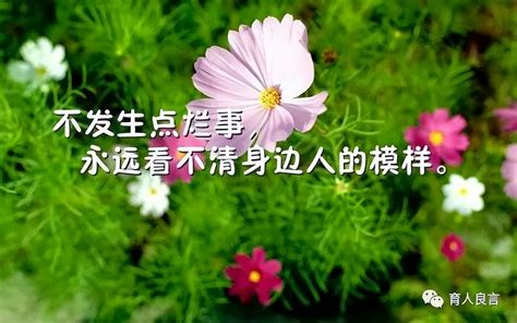 感悟人生精辟短句(感悟人生精辟短句六个字) - 经典句子 - 经典好句子