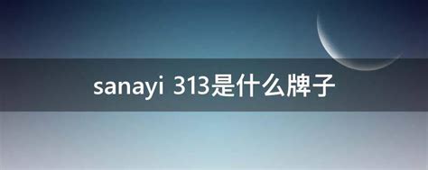 sanayi 313是什么牌子 - 业百科