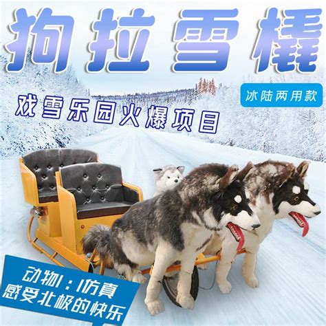 雪橇犬图片-拉着雪橇的狗狗素材-高清图片-摄影照片-寻图免费打包下载