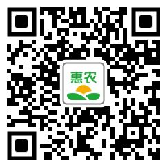 [王林批发]阜平山头瑞雪苹果价格5元/斤 - 惠农网