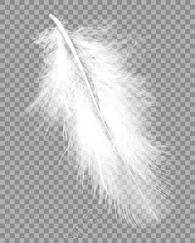 白色羽毛纹理素材图片免费下载-千库网