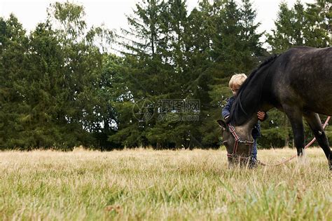 田里有马的小男孩高清图片下载-正版图片501854918-摄图网
