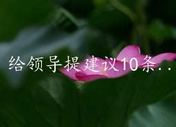 给领导提建议10条（精选10~1000组） - 828啦