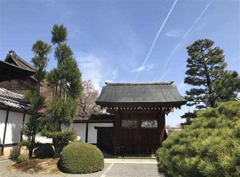 2021大觉寺-旅游攻略-门票-地址-问答-游记点评，京都旅游旅游景点推荐-去哪儿攻略