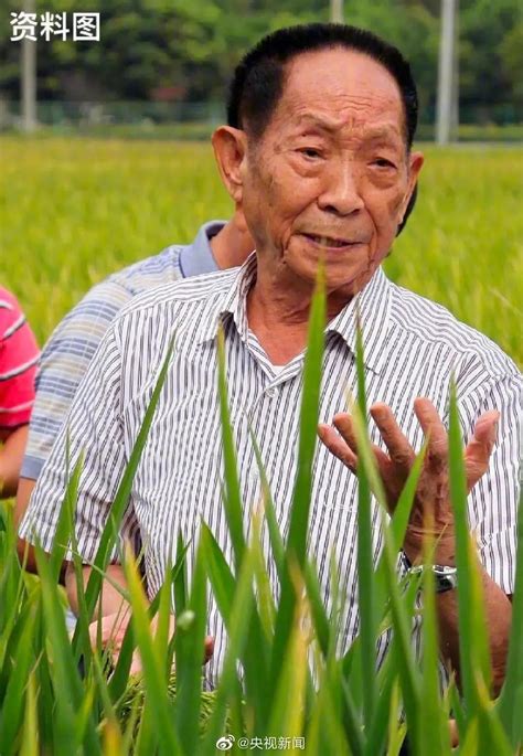 袁隆平逝世，14亿中国人同悲泣：习惯仰望英雄，忘了英雄也会倒下|袁隆平|水稻|中国人_新浪新闻