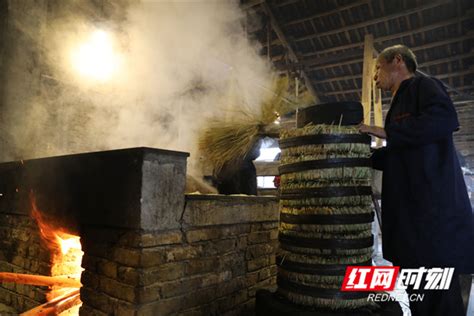 湖南邵阳：传统手工榨油术，人类文明的历史就在这里|榨油|雷振梁|油茶_新浪新闻