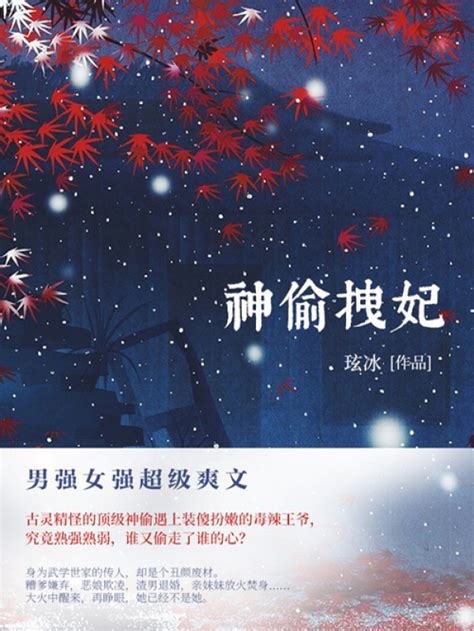 《神偷拽妃（第5卷）》小说在线阅读-起点中文网