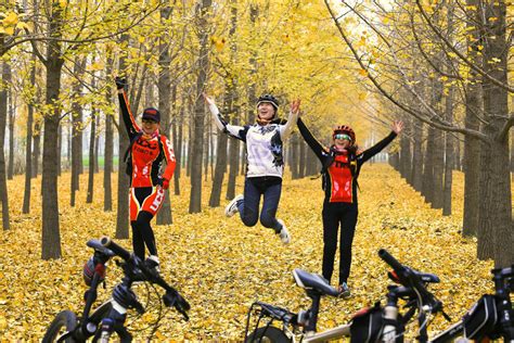 秋天小女孩和秋天树叶组合图片下载_红动中国