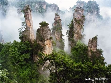 Complicate 的图像结果