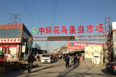 北京最大的花鸟鱼虫市场宣布近日部分商户复工营业