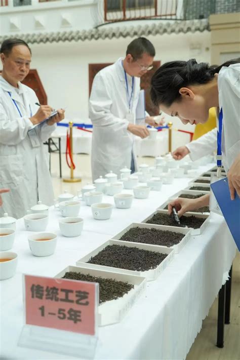 共青团宁德市委举办青年茶文化分享交流会-茶产业与文化研究所