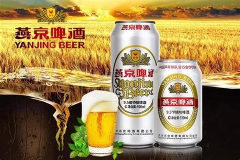 2019年啤酒品牌排行榜_气温逐渐升高啤酒饮料消费进入旺季(2)_中国排行网