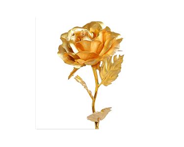 金色玫瑰图片素材免费下载 - 觅知网