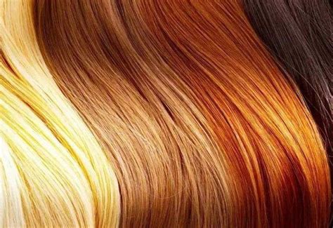 硬核科普|为什么人的头发有不同的颜色？|头发|黑色素|色素_新浪新闻