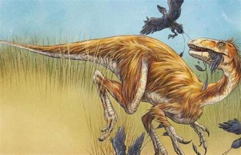 恐龙陷入致命泥潭，经过千万年变成化石 - 知乎