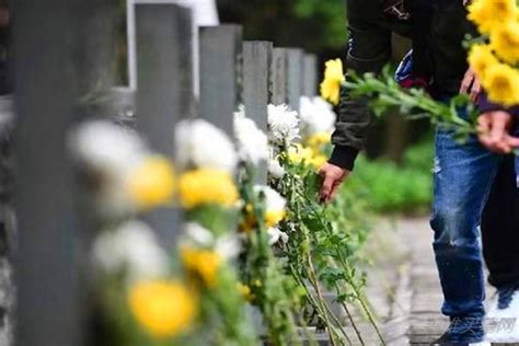 2021年清明北京市网上预约祭扫人数排前五位的公墓,太子峪陵园是其一 - 善唯买墓网
