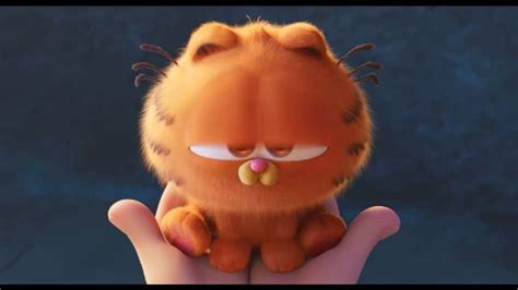 《加菲猫》动画大电影发布预告，我们胖橘回来了 ！好可爱吖 ！|加菲猫_新浪新闻