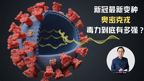 新抗体可中和新冠病毒目前已知所有变种，将催生新型新冠疫苗_手机新浪网