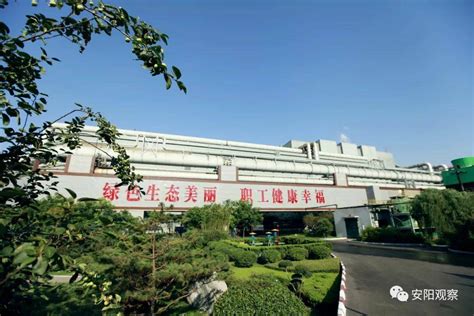 安阳钢铁集团有限责任公司-河南农业大学 就业信息网