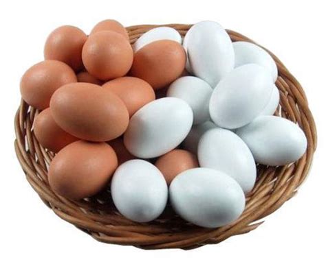 鸡蛋与鸭蛋的营养差别在哪_徐州佳合食品有限公司