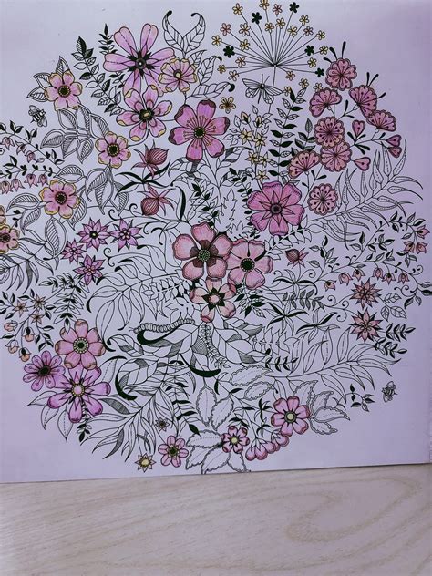 秘密花园图鉴图片