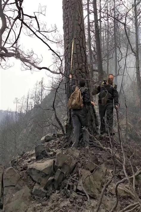 武警凉山森林支队成功扑灭3起森林火灾影像纪实