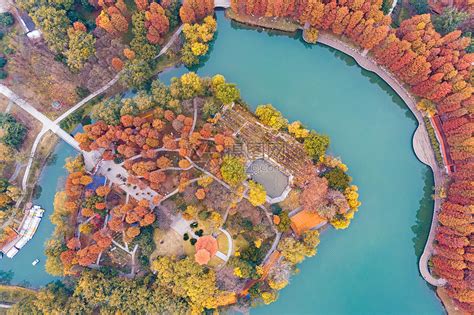 俯瞰武汉城市公园的秋天高清图片下载-正版图片501142218-摄图网