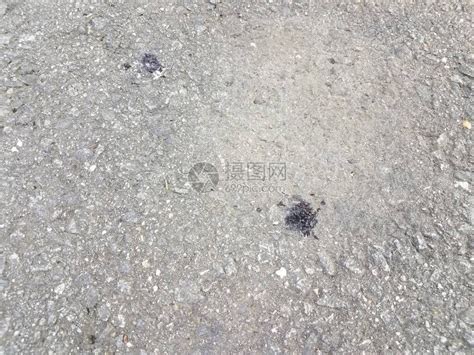 一些鹅粪飞溅在黑色沥青上高清图片下载-正版图片504394551-摄图网