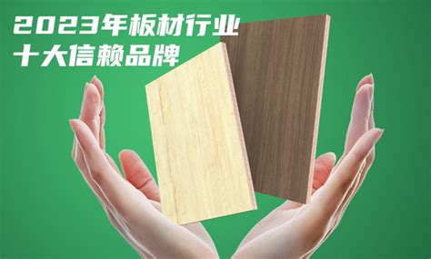 临沂木业如何深耕品牌巩固“中国板材之都”称号？-木材码头