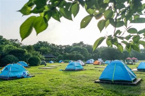 端午假期带上装备 洛阳这些免费露营地任你选-国际在线