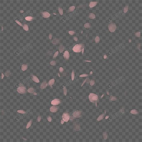 粉色漫天花瓣元素素材下载-正版素材401560120-摄图网