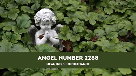 Angel Number 2288 – A Complete Guide to Angel Number 2288 Meaning and ...