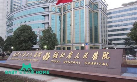 2022湖北省人民医院试管婴儿成功率一览，附试管医生推荐_宝宝之家