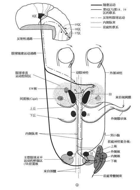 09年1月11日 的图像结果
