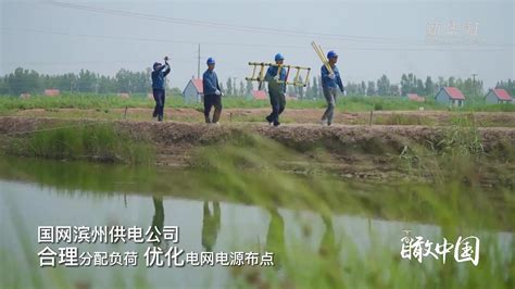 瞰中国｜山东滨州：电力助力对虾养殖_凤凰网视频_凤凰网