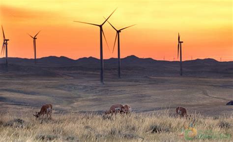 独家翻译 | 200MW！杜克能源德州风电场投入商业运营-国际新能源网