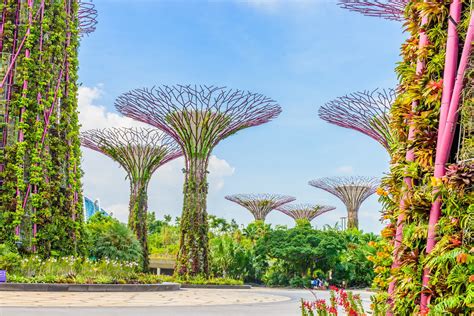 新加坡滨海湾花园超级树观景西餐厅(Super Tree by IndoChine)_价格_当地美食价格_优惠预订_同程旅游